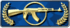 Rank 12